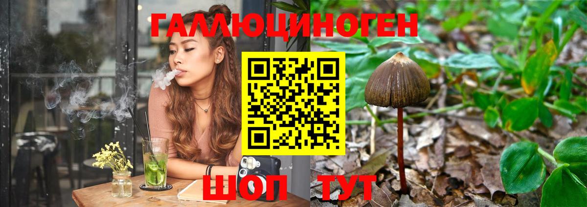 Тимашёвск  Псилоцибиновые грибы Psilocybine cubensis  Вход с VPN 